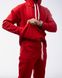 Чоловічий спортивний костюм Alex колір червоний р.2XXL 442224 442223 фото 11