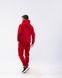 Чоловічий спортивний костюм Alex колір червоний р.2XXL 442224 442223 фото 9