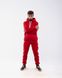 Чоловічий спортивний костюм Alex колір червоний р.2XXL 442224 442223 фото 1
