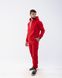 Чоловічий спортивний костюм Alex колір червоний р.2XXL 442224 442223 фото 4